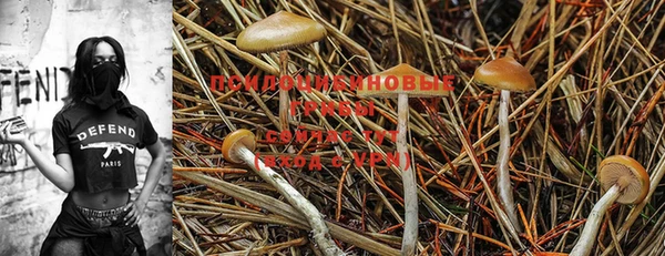 амф Осташков