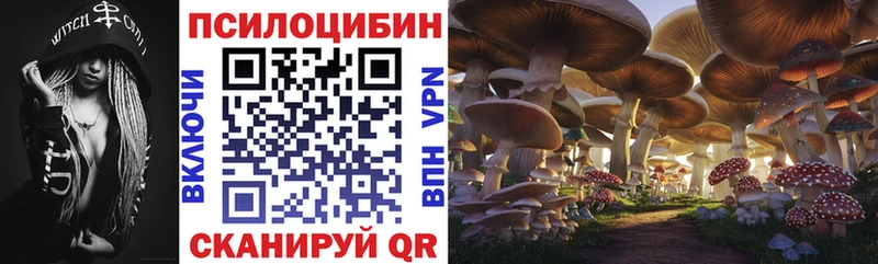 Купить  Ува  Галлюциногенные грибы прущие грибы 