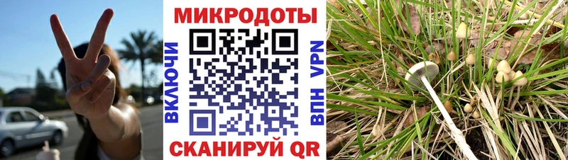 Галлюциногенные грибы мухоморы Ува